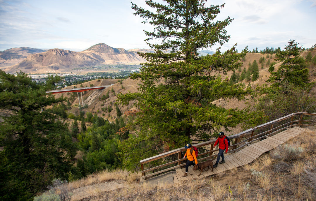 Peterson Creek Hiking Tour for 2