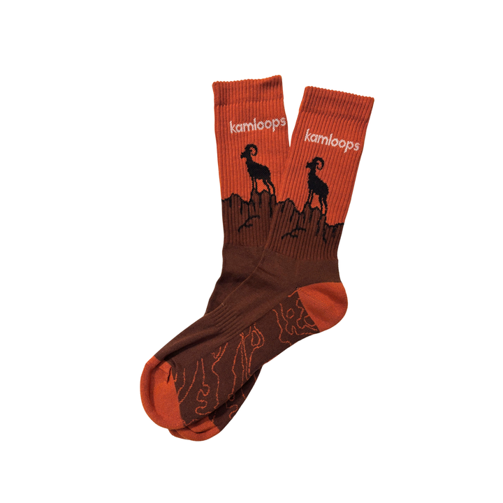 Hoodoo Ram Socks